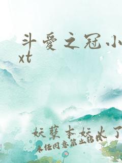 斗爱之冠小说txt