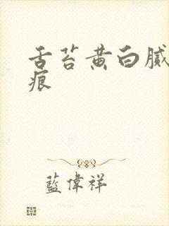 舌苔黄白腻有齿痕