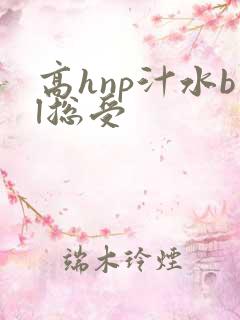 高hnp汁水bl总受