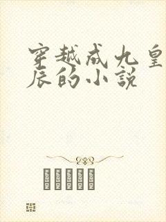 穿越成九皇子路辰的小说