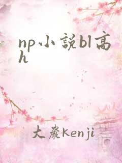 np小说bl高h