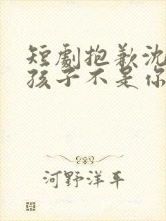 短剧抱歉沈先生孩子不是你的免费