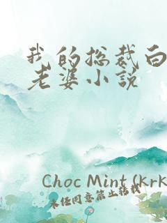 我的总裁白富美老婆小说