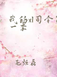 我的xl司令第一季