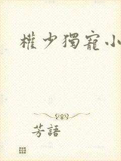 权少独宠小甜妻