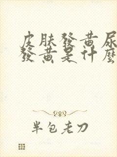 皮肤发黄尿液也发黄是什么原因引起的