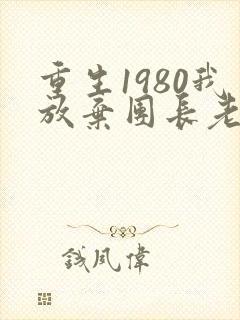 重生1980我放弃团长老婆小说