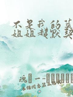 不是我的菜但跟姐姐超默契动漫