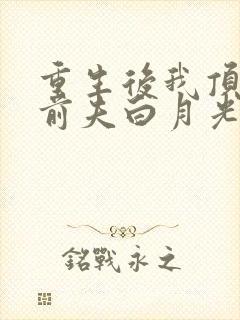 重生后我顶替了前夫白月光免费看