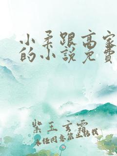 小柔跟高家父子的小说免费阅读全文