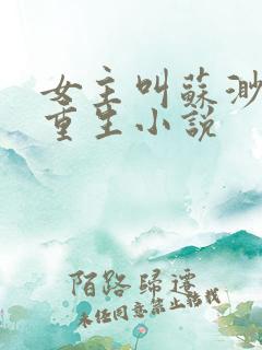 女主叫苏渺渺的重生小说