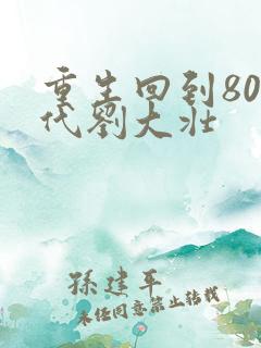 重生回到80年代刘大壮