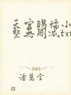 天官赐福小说完整无删减txt下载