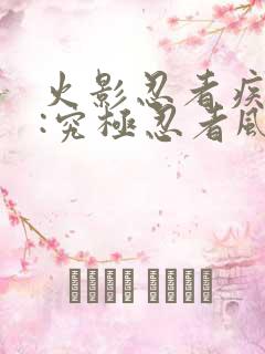 火影忍者疾风传:究极忍者风暴3