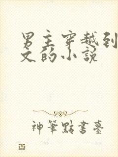 男主穿越到年代文的小说