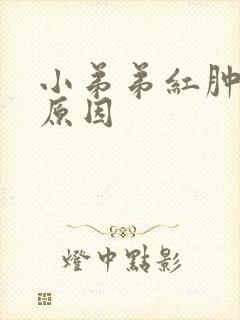 小弟弟红肿流脓原因