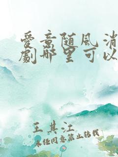 爱意随风消逝短剧哪里可以看