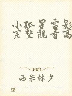 小孤星电影免费完整观看高清