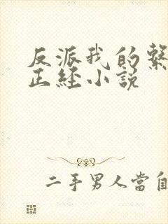 反派我的系统不正经小说