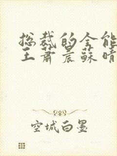 总裁的全能型兵王萧晨苏晴