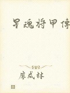 星魂将甲传小说