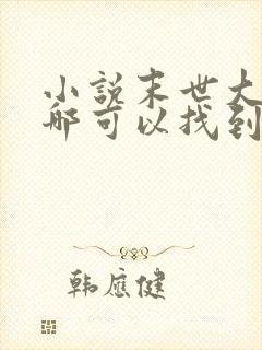 小说末世大回炉哪可以找到