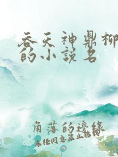 吞天神鼎柳无邪的小说名