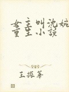 女主叫沈婉婉的重生小说