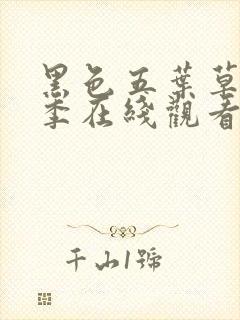 黑色五叶草第二季在线观看完整版