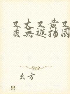 又大又黄又粗又爽无遮挡国产