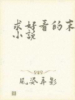 求好看的末日类小说