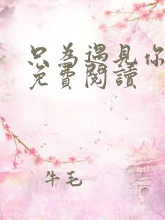 只为遇见你全文免费阅读