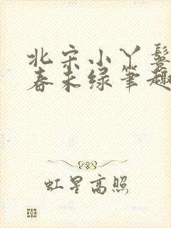 北宋小丫鬟by春未绿笔趣阁