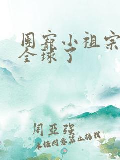 团宠小祖宗惊艳全球了