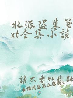 北派盗墓笔记txt全集小说