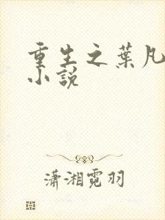 重生之叶凡主角小说