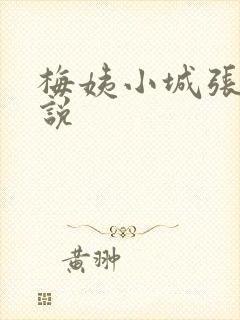 梅姨小城张强小说