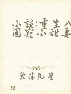 小说:重生八零团宠小甜妻
