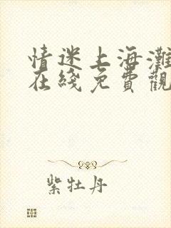 情迷上海滩短剧在线免费观看全集