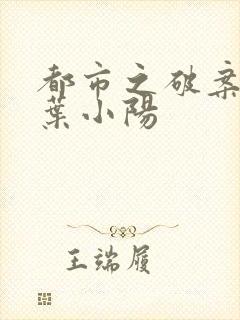 都市之破案狂少叶小阳