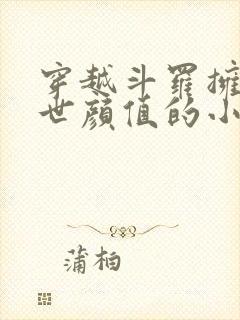 穿越斗罗拥有绝世颜值的小说双男主