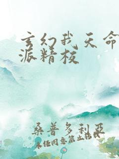 玄幻我天命大反派精校