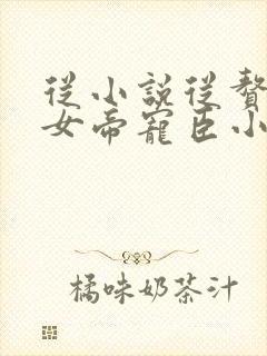 从小说从赘婿到女帝宠臣小说