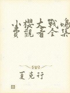 小樱大战鸣人免费观看全集