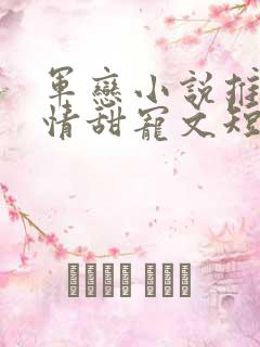 军恋小说推荐言情甜宠文短篇小说