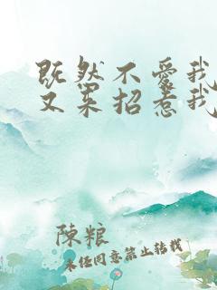 既然不爱我为何又来招惹我完整版