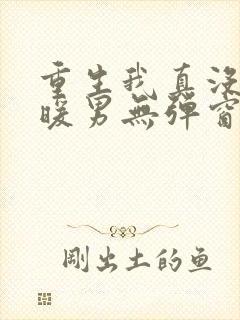 重生我真没想当暖男无弹窗