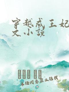 穿越成王妃的宠文小说