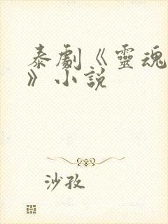 泰剧《灵魂重生》小说