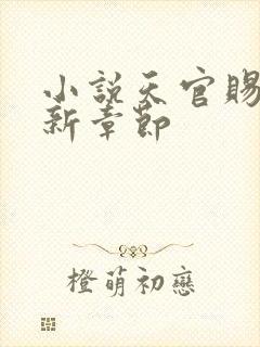 小说天官赐福最新章节